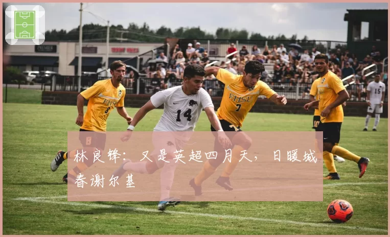 林良锋:又是英超四月天,日暖城春谢尔基
